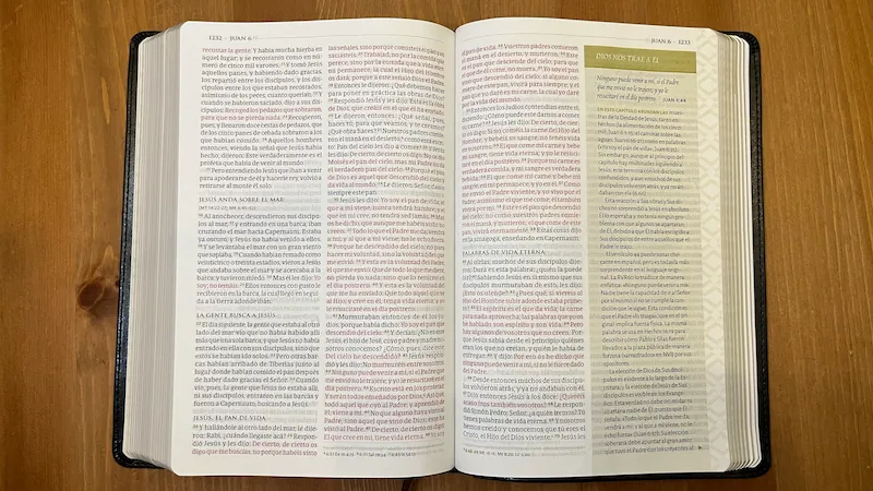 biblia tematica estudio miguel nunez sola lectura blog cristiano articulos resenas cristianas